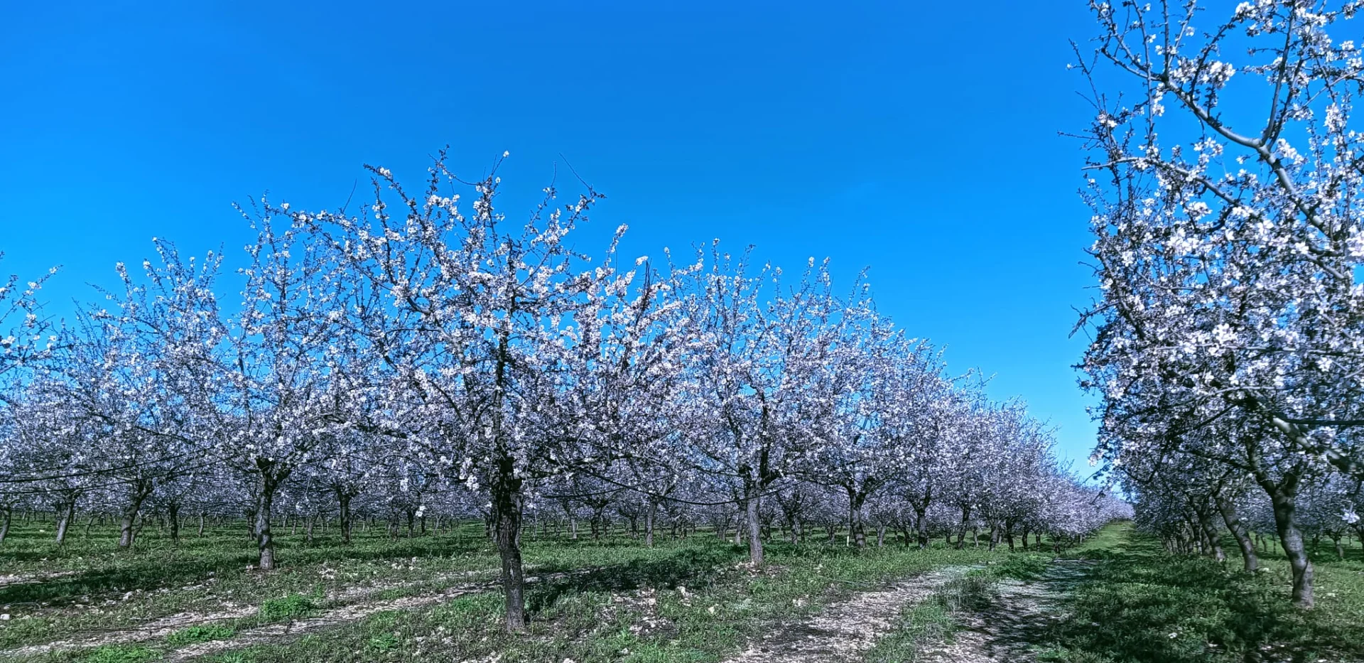 Costa Daurada kustlijn