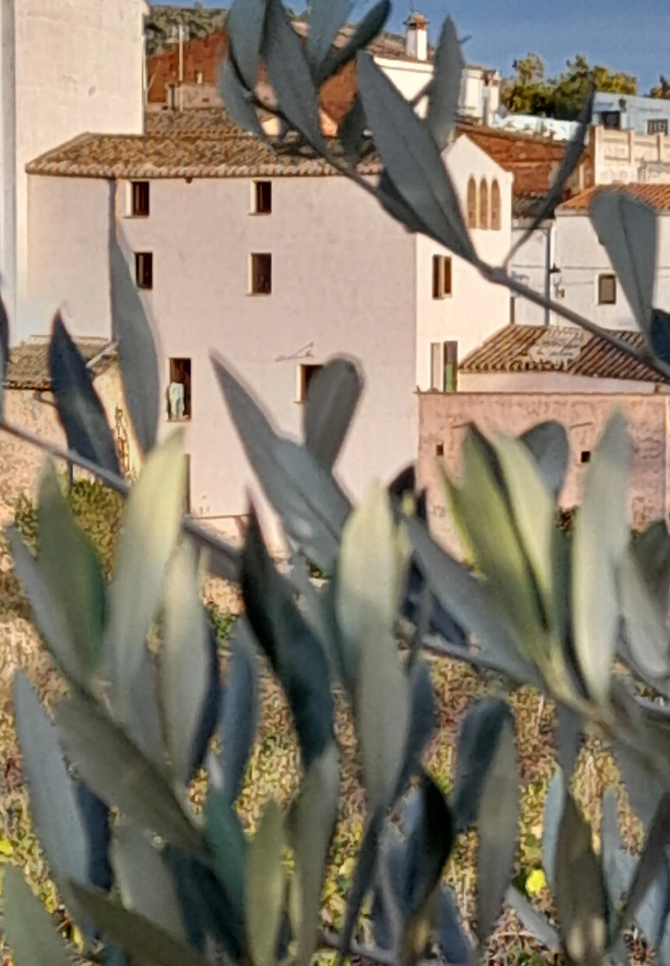 Wijngaarden in de Penedès regio rond Cal Guixater