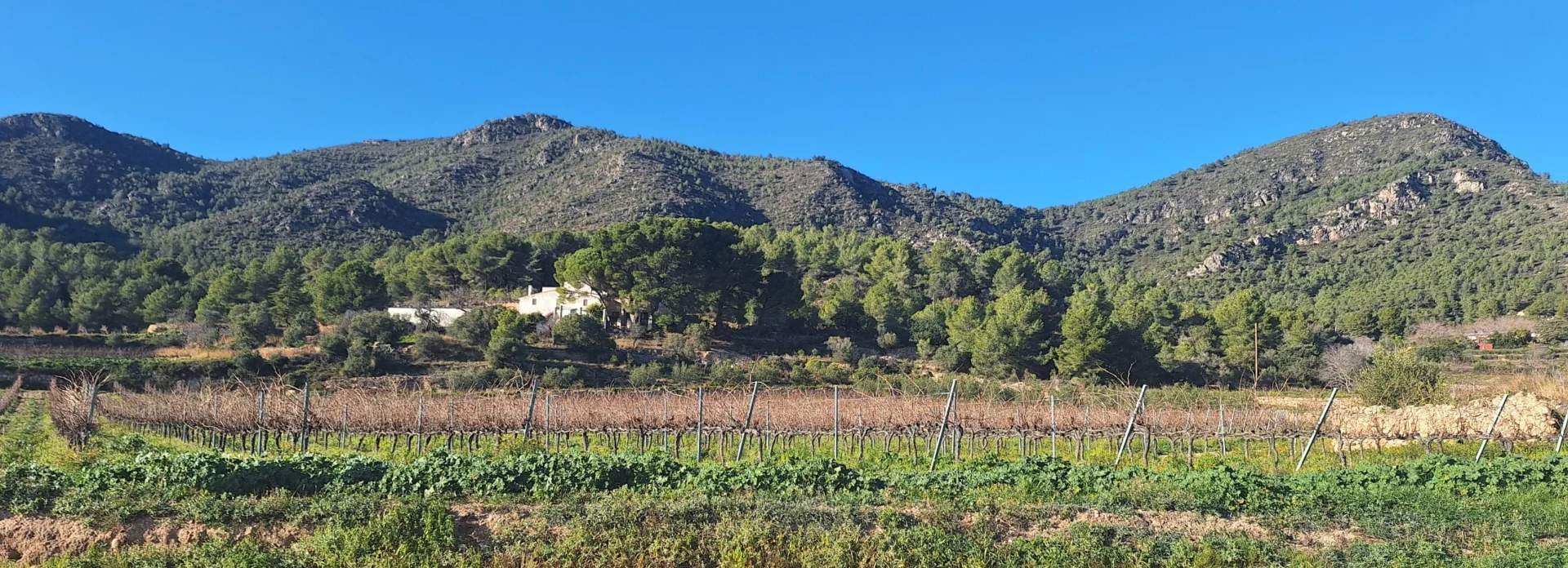 Proef de Catalaanse gastronomie