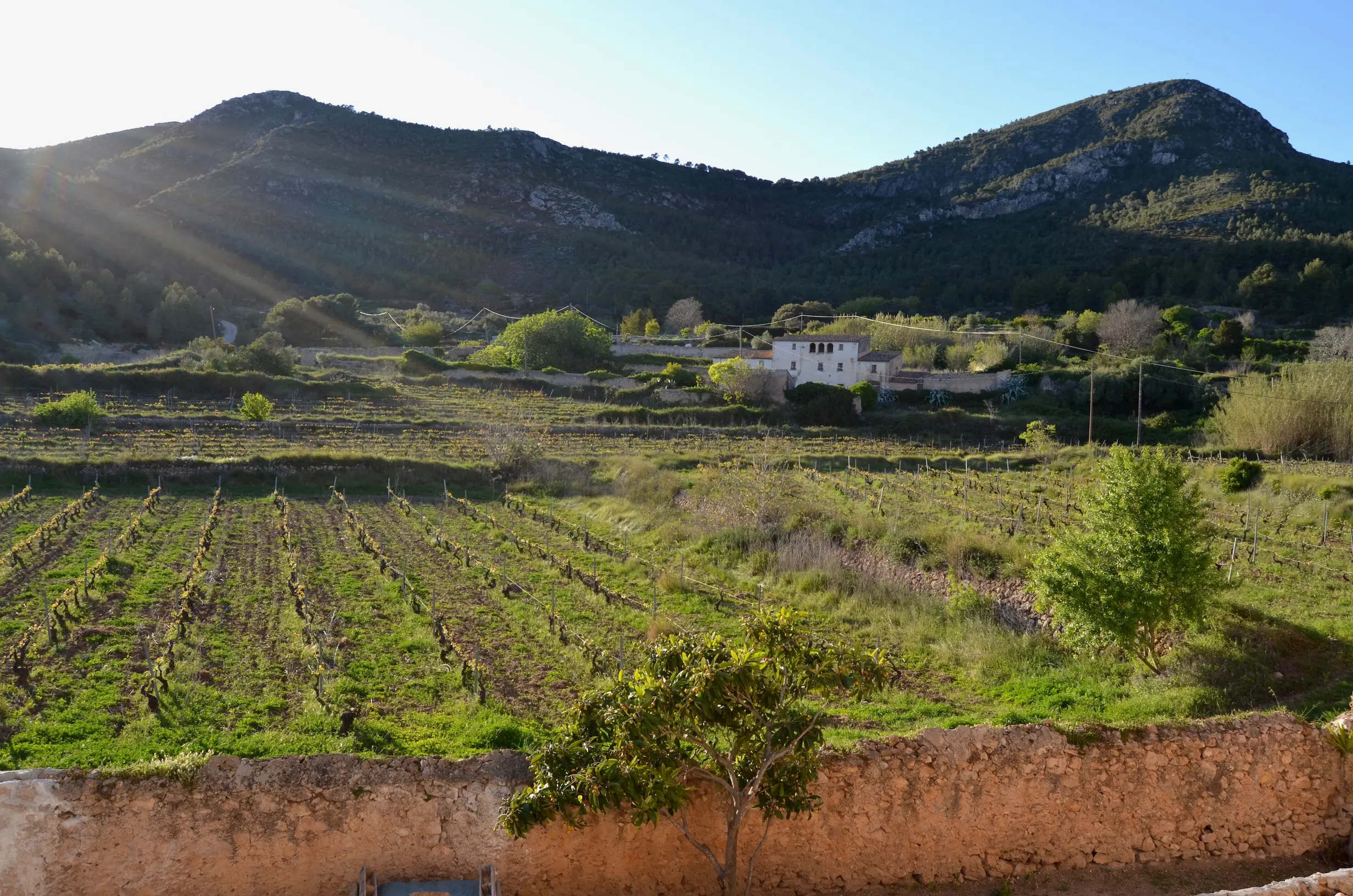 Wandelen in de Serra del Montmell