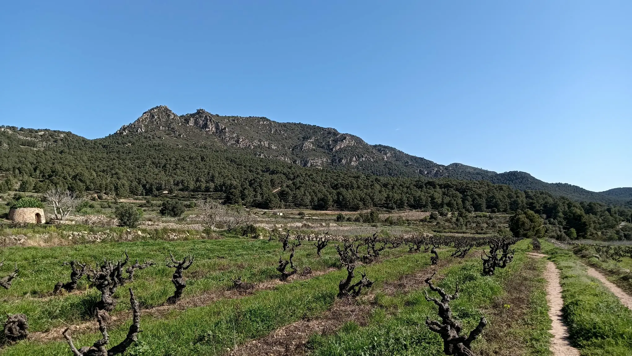 Cal Guixater, een charmant Catalaans huis in La Juncosa de Montmell