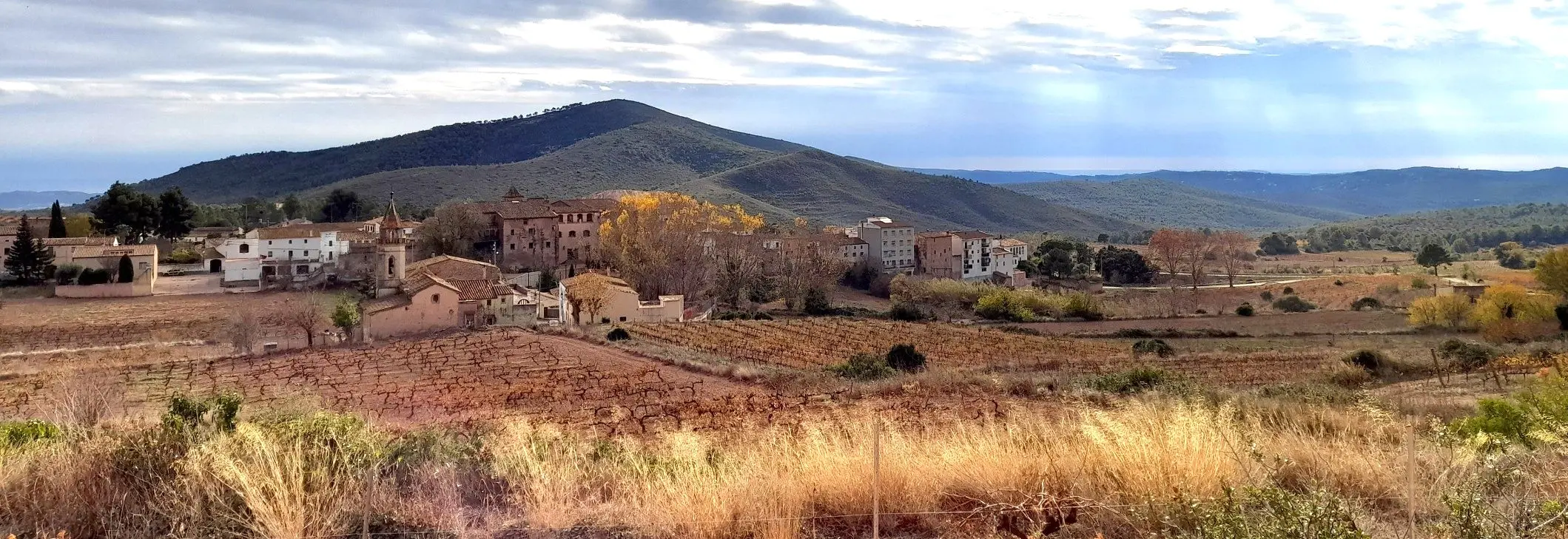 Uitzicht over La Juncosa de Montmell.