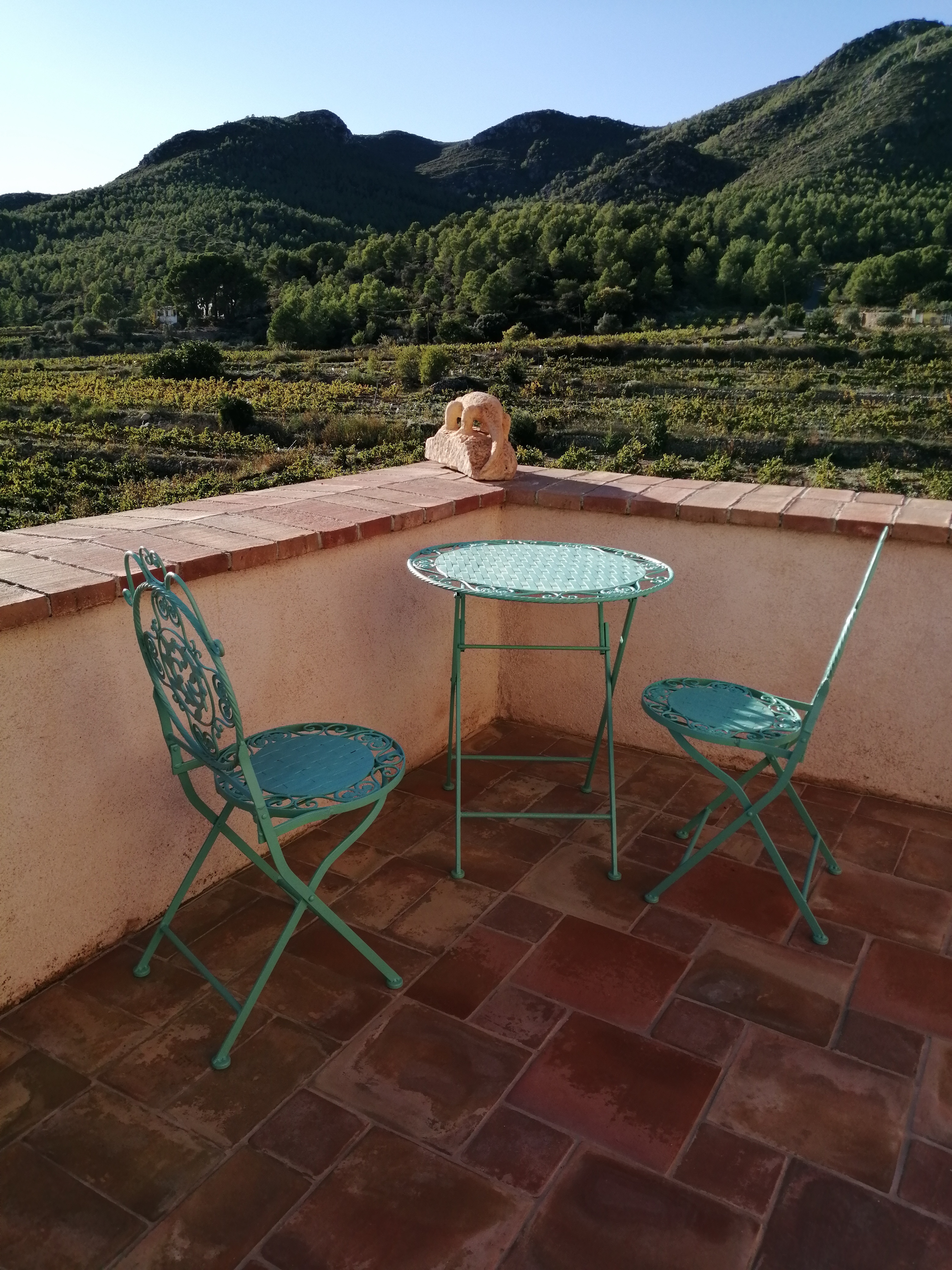 Zonnig terras met uitzicht op Serra del Montmell