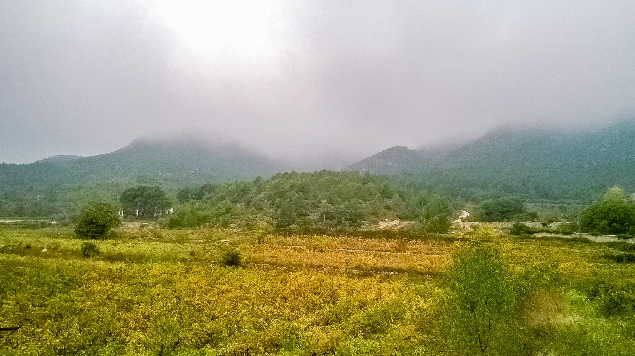 Uitzicht Cal Guixater 1