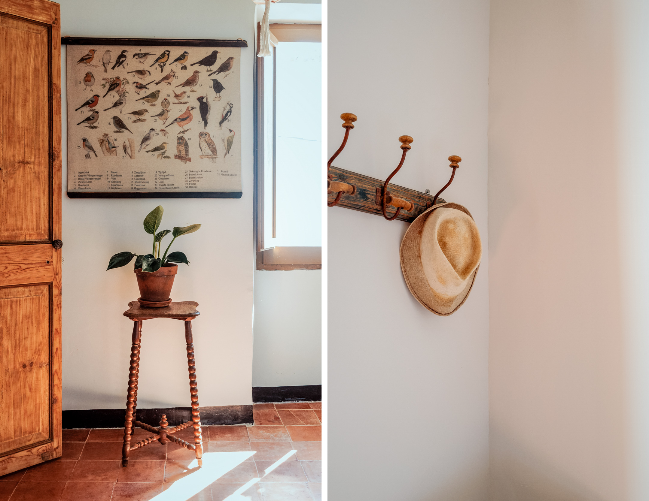 Decors Cal Guixater 3