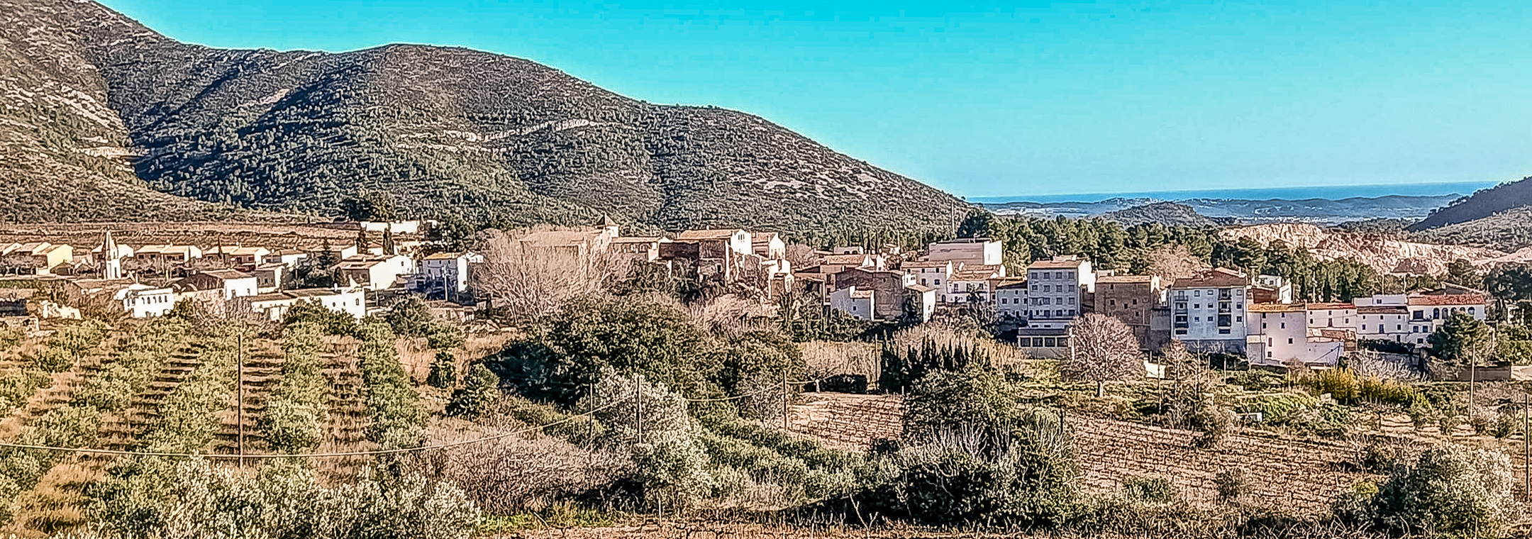 Overview Dorp 2 Cal Guixater 3